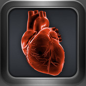categories apps
