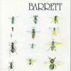 Barrett, Syd Barrett