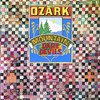 Ozark Mountain Daredevils, Ozark Mountain Daredevils