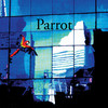 Parrot, Chris Cloud