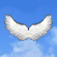 Icon i-Guidance