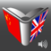 Icon Chinese English Dictionary by Cole Zhu