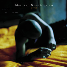 Bitter - Me'Shell Ndegeocello