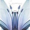 Mirror, Caprice