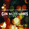Congratulations I'm Sorry, Gin Blossoms