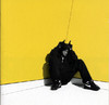 Boy In da Corner, Dizzee Rascal