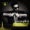 Intoxication, Shaggy