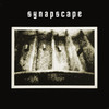 Synapscape, Synapscape