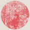 Owen Pallett image