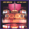 Got Any Gum?, Joe Walsh