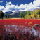 Asian Travel Top 100(China) Vol.13 <Gong Gar>