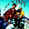 Very Necessary, Salt-N-Pepa