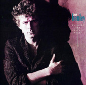 Building the Perfect Beast, Don Henley