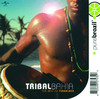 Pure Brazil: The Best of Timbalada, Timbalada