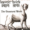 The Unnatural World, Karmic Brick