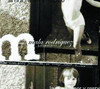 La Niña / Amor y respeto - EP, Mala Rodríguez