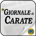 Il Giornale di Carate iPad Edition