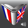 Icon French English Dictionary by Cole Zhu