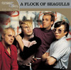 Platinum & Gold Collection: A Flock of Seagulls, A Flock of Seagulls