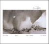 Cloud Plate, Alex Cline