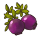 Digital Crowberries by Underplot Apps