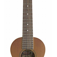 Icon UkuTune