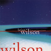 Imagination, Brian Wilson