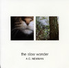 The Slow Wonder, A.C. Newman