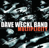Multiplicity, Dave Weckl