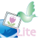Icon davUploader LITE