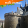 Icon Nantes