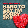 Hard to Say I'm Sorry 2K9 - EP