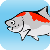 Karl der Koi