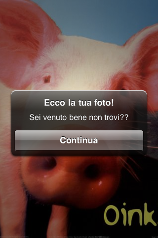 Image of PhotoPig