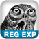 Regular Expression Pocket Reference
