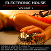 Electronic House, Vol. 1
