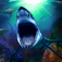 Shark's Treasure :Rise of the Octopus by Shark's Treasure :Rise of the Octopus