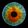 The Retina Difference (for iPhone 4 and new iPod touch)