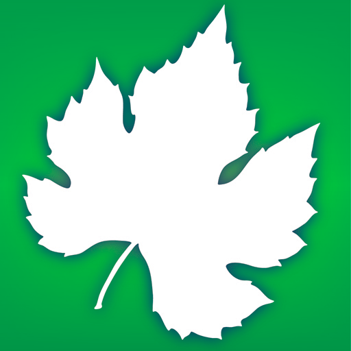 Audubon Trees - A Field Guide to North American Trees by Green Mountain Digital