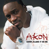 Sorry, Blame It On Me - Single, Akon
