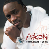 Sorry, Blame It On Me - Single