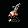 Songs from the Glasshouse, The Panic Division