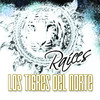 Raíces, Los Tigres del Norte