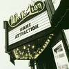 Mane Attraction, White Lion