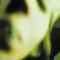 Pisces Iscariot