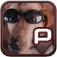 Icon pet-fame