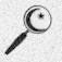 Arabic Web Search Engines
