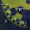 Street Fighting Years, Simple Minds
