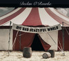 Big Bad Beautiful World, Declan O'Rourke