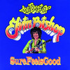 Sure Feels Good - The Best of Elvin Bishop, Elvin Bishop